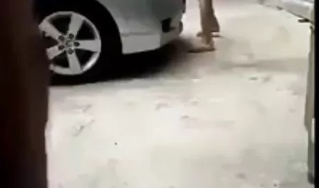 Parker Haykırdım, sulu kedi gösteren sex filmi full