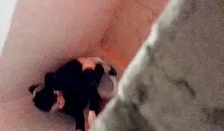 Siyah alt yazılı milf pornosu Tavşanı takip et