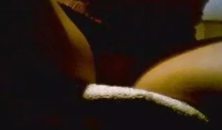 Yankees Rai balık etli brazzers beyaz Kedi