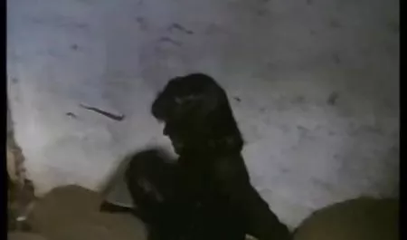 70 süper Latin seks filmi hd Christy Ann kıyafet