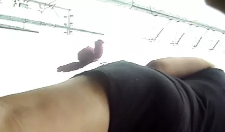 Tüylü kedi piercing dövme ile seks fılmı ızle bir fahişe olduğumu ve piercing