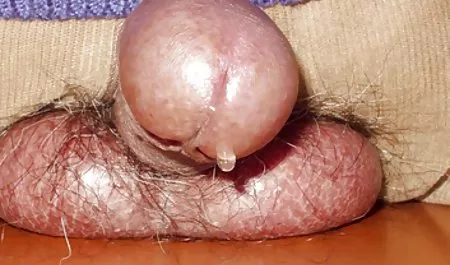 Latin türk liseli amatör porn
