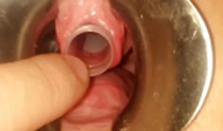 Tuvalette kız sikmek brazzers sex filmi izle